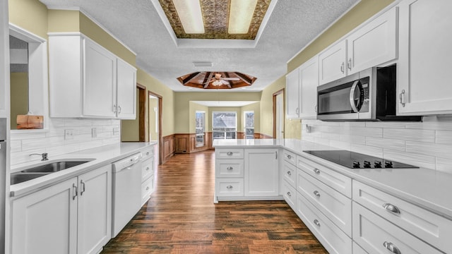 kitchen featuring a tray ceiling, a sink, dishwasher, a peninsula, and black electric cooktop