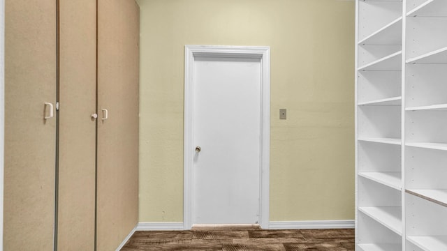 spacious closet featuring dark wood finished floors