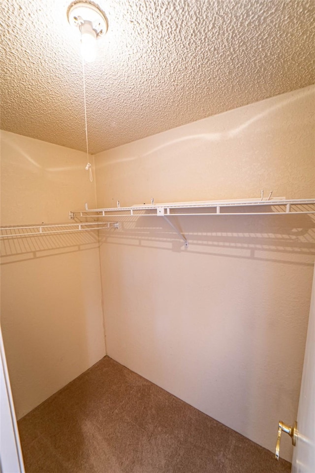 spacious closet featuring carpet