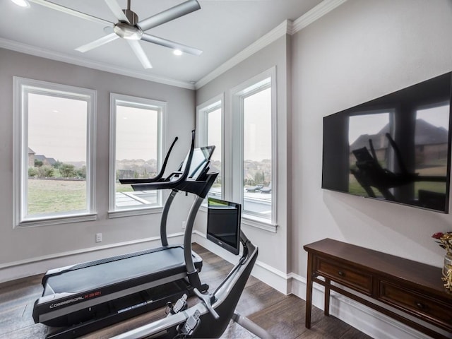 workout area with a ceiling fan, baseboards, ornamental molding, and dark wood-type flooring