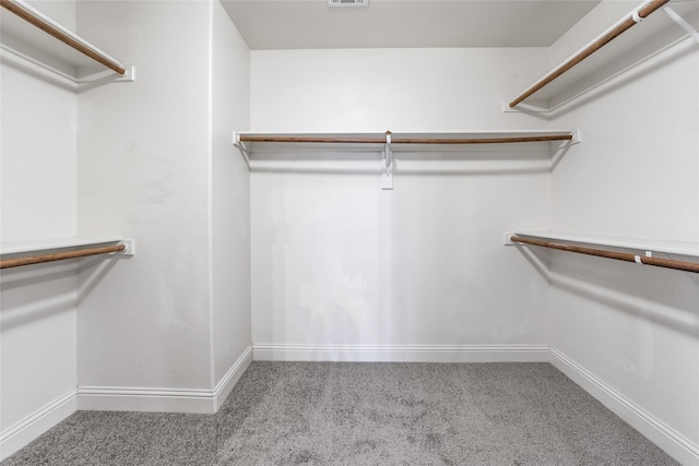 walk in closet featuring carpet