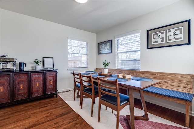 dining room featuring wood finished floors and a wealth of natural light