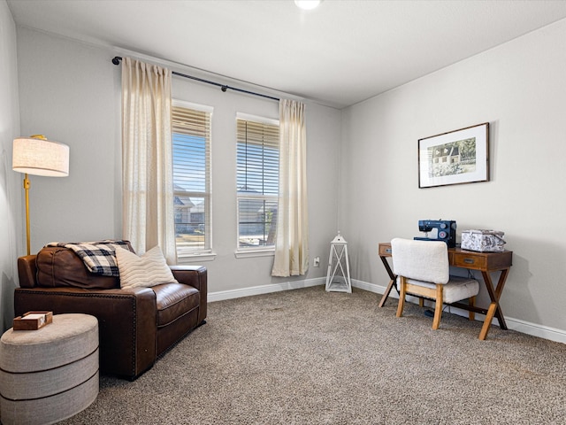 home office with carpet flooring and baseboards