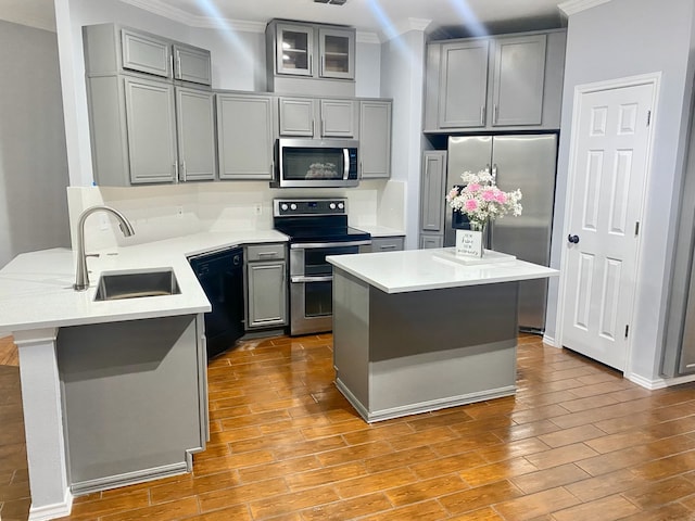 kitchen featuring appliances with stainless steel finishes, gray cabinets, and a sink