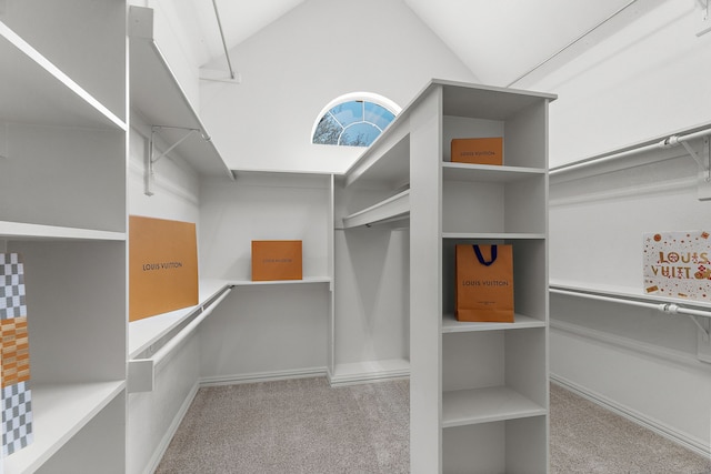 100 Bailee Ct, Forney, TX 75126 - spacious closet featuring carpet floors and lofted ceiling