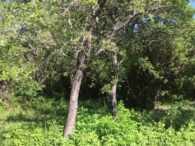 Listing photo 2 for 8513 Retreat Blvd, Cleburne TX 76033