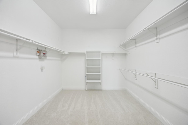 spacious closet featuring light colored carpet