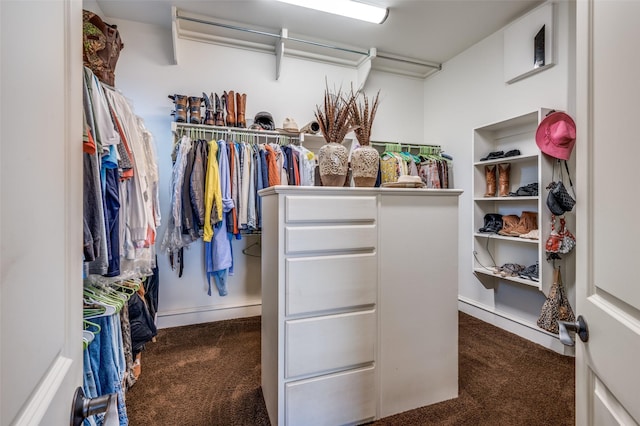 walk in closet featuring carpet flooring