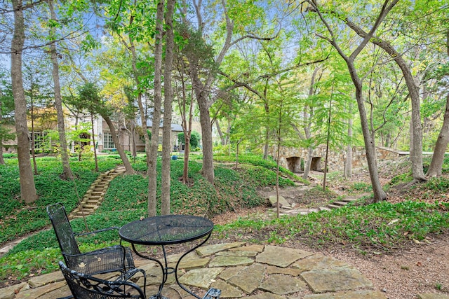 view of yard featuring a patio