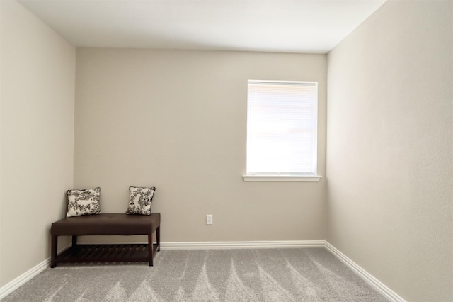 living area with baseboards and carpet flooring