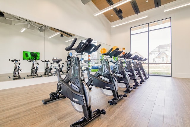 exercise room featuring high vaulted ceiling and wood finished floors