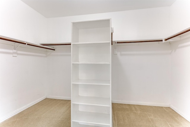 spacious closet with carpet