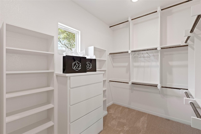 spacious closet with light carpet