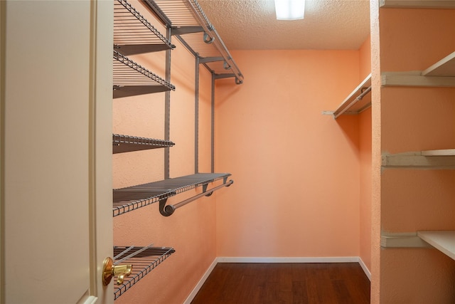 spacious closet with dark wood finished floors