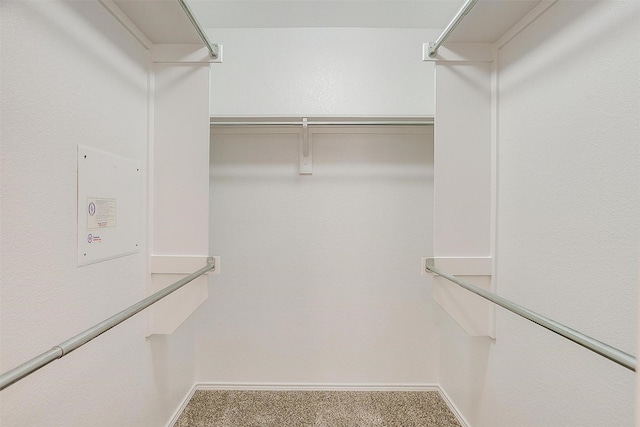 walk in closet featuring carpet flooring