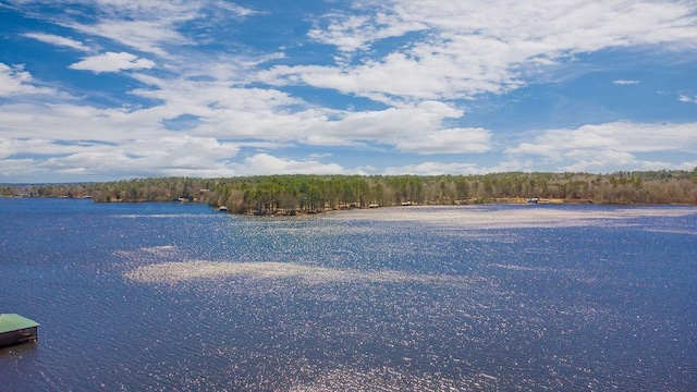 505 County Road 3420, Hawkins, TX 75765 - property view of water with a wooded view