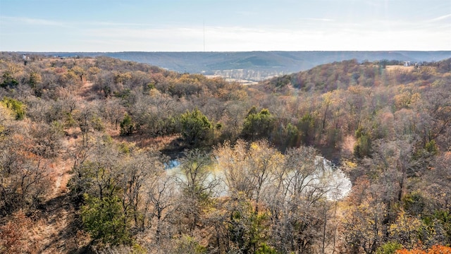 Listing photo 2 for 51AC Village Bend Rd, Mineral Wells TX 76067