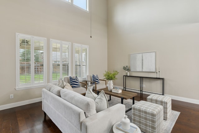 living area featuring plenty of natural light, baseboards, and wood finished floors