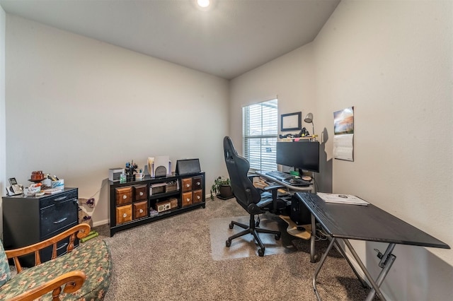 office space featuring carpet floors and baseboards