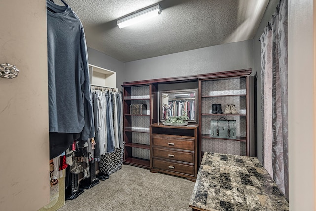 spacious closet featuring carpet floors