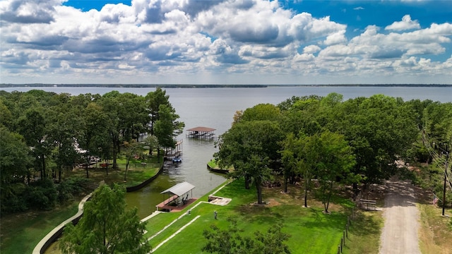 drone / aerial view with a water view