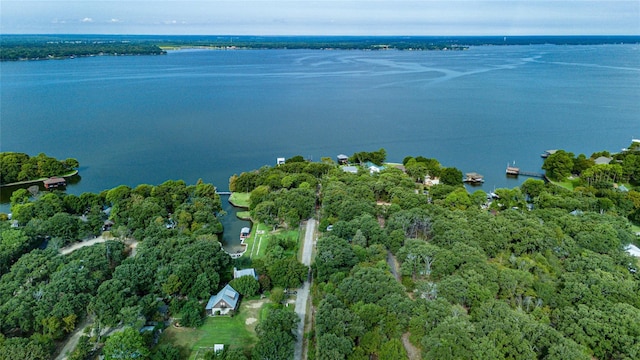 114 Adelia Dr, Mabank, TX 75156 - birds eye view of property with a water view and a wooded view