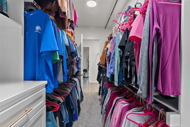 walk in closet with carpet floors