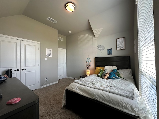 213 Stuart St, Paradise, TX 76073 - bedroom featuring lofted ceiling, carpet floors, and a closet