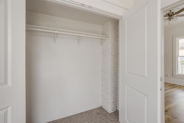 view of closet