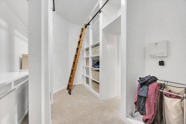 spacious closet with carpet flooring