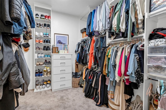 walk in closet featuring carpet floors