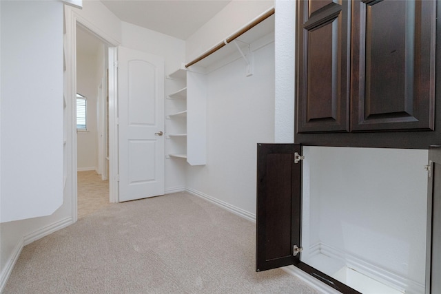 walk in closet with light colored carpet