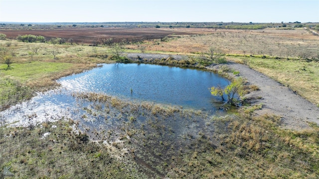 Listing photo 3 for TBD County Road 202, Clyde TX 79510