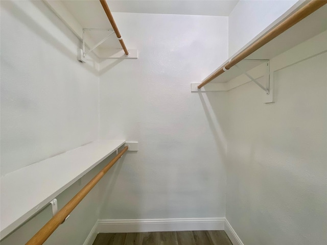 walk in closet with dark wood finished floors