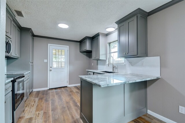 kitchen with electric stove, stainless steel microwave, a sink, wood finished floors, and a peninsula