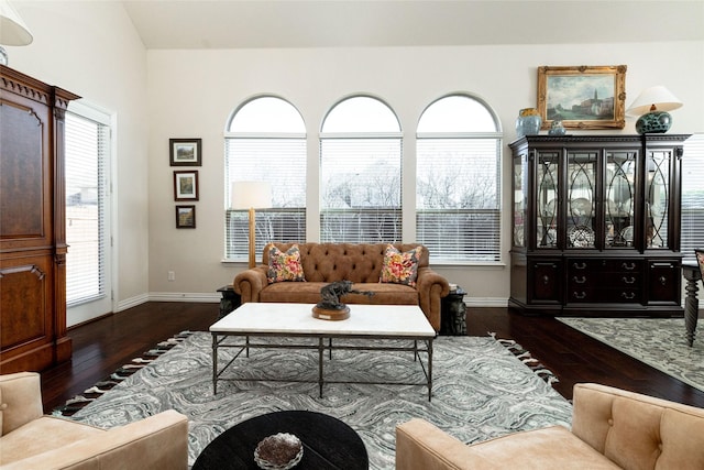 living area featuring baseboards and hardwood / wood-style floors