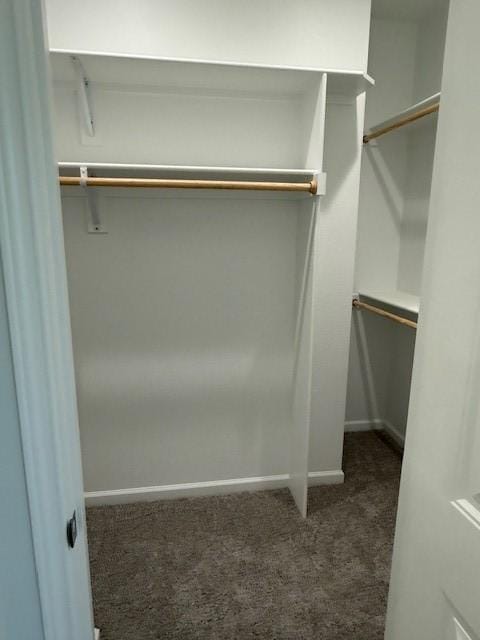 spacious closet featuring carpet