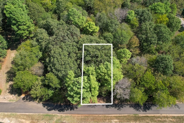 TBD Angelina, Mount Vernon TX, 75457 land for sale