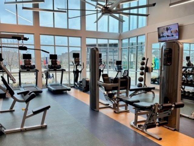 exercise room featuring a wealth of natural light