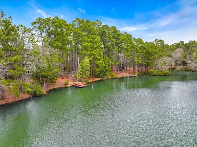 view of water feature with a view of trees