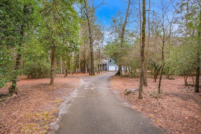 view of road featuring aphalt driveway