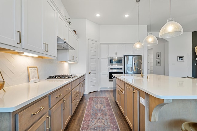 kitchen with under cabinet range hood, appliances with stainless steel finishes, light countertops, decorative backsplash, and dark wood-style flooring