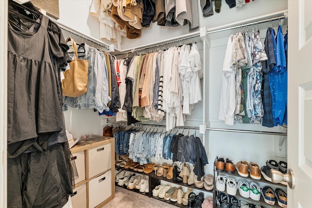 view of spacious closet