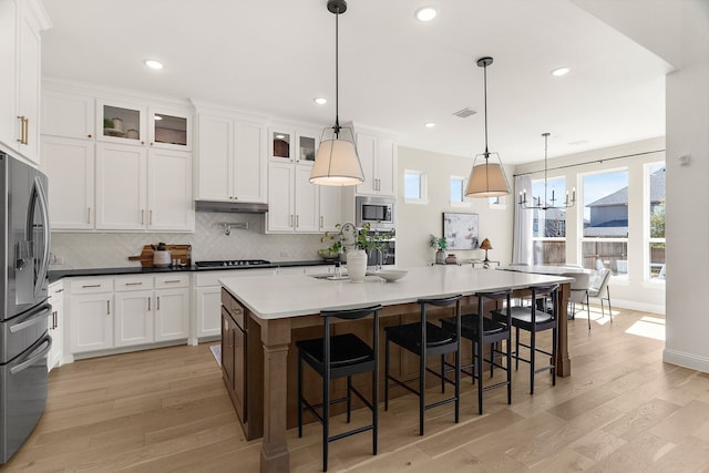 kitchen featuring under cabinet range hood, stainless steel appliances, white cabinetry, decorative backsplash, and light wood finished floors