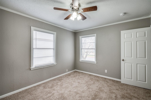 empty room with carpet floors, a textured wall, ornamental molding, and a ceiling fan