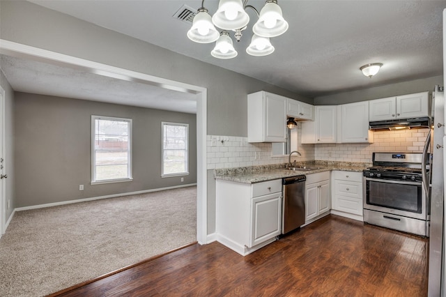 kitchen featuring under cabinet range hood, a sink, white cabinets, appliances with stainless steel finishes, and tasteful backsplash