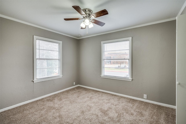 empty room with carpet floors, a wealth of natural light, and ornamental molding