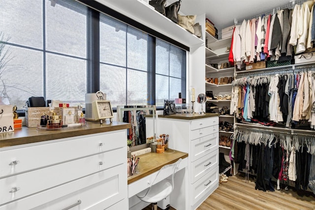 spacious closet with light wood-type flooring