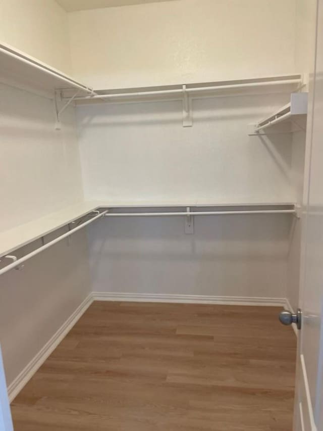 walk in closet with wood finished floors