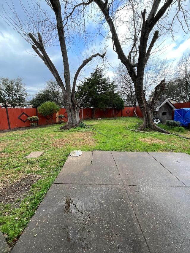 view of yard with a patio area and a fenced backyard